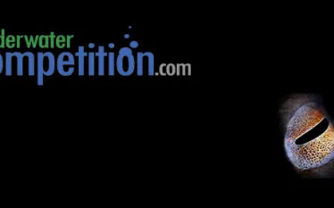 competition.jpg.webp
