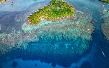 copy_of_dji_-edit.jpg.webp