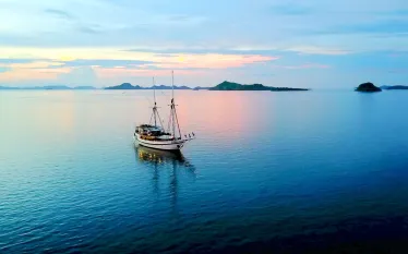 courtesy-aggressor-liveaboards_trip--sept-copy-indo-aggressor.jpg.webp