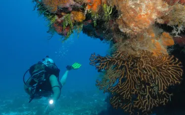 cozumel-buceo__.jpg.webp