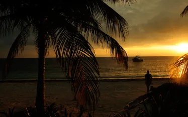cozumel_topside_.gif.webp