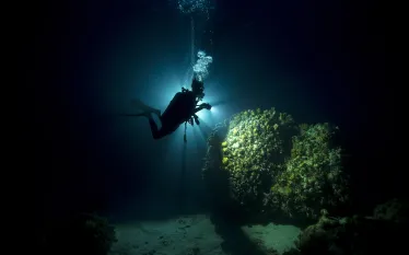 credit_padi_.jpg.webp