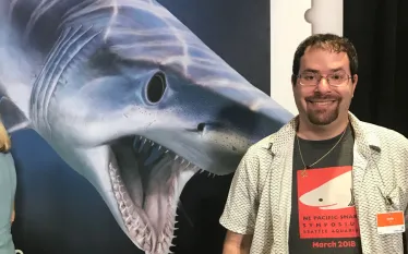 david-shiffman-shark-stamps.jpg.webp