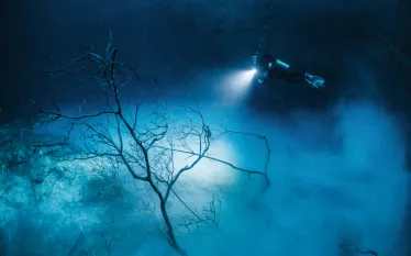 deep_dives_the_pit_teaser_jennifer_penner____mk_.jpg.webp