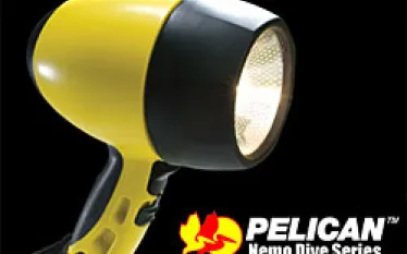 dema_pelican.jpg.webp