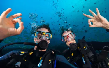 dive-pro-better-dive-buddy-shutterstock_.jpg.webp