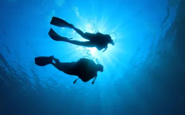 dive-pro-scuba-diving-buddies-shutterstock_.jpg.webp