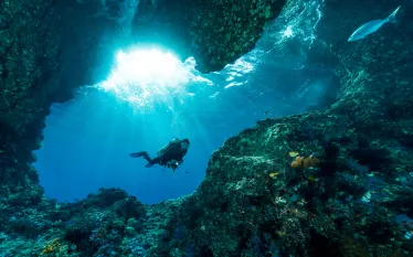 dive-pro-scuba-faqs-shutterstock_.jpg.webp
