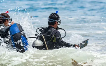 dive-pro-shore-diving-ow_.jpg.webp