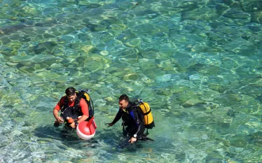 dive-pro-shore-exit-shutterstock_.jpg.webp