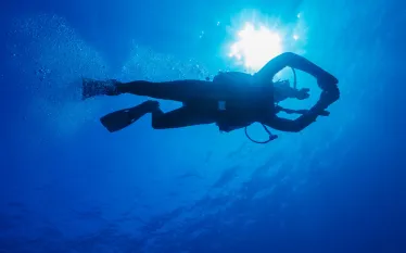 dive-pro-underwater-navigation-shutterstock_.jpg.webp