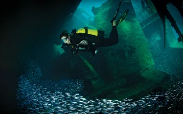 dive-wreck-research.jpg.webp