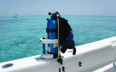 dive_mate.jpg.webp