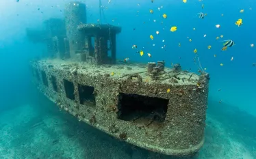 dive_o_clock_oahu_yo_william_stohler_teaser_scd.jpg.webp