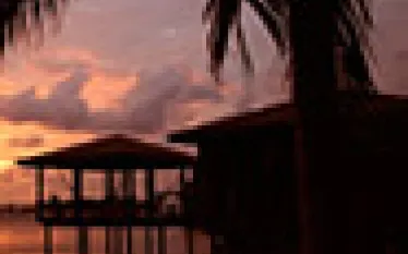 divedeals.jpg.webp