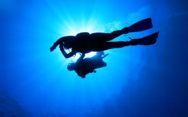 divemaster_.jpg.webp