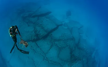 diver-ascending-with-trash-tobias-friedrich.jpg.webp
