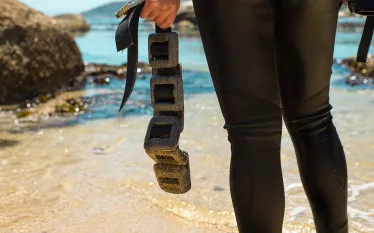 diver-holds-weight-belt-beach-shutterstock-robert-dyer.jpg.webp