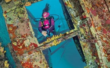 diver-on-kittiwake-alex-mustard-.jpg.webp