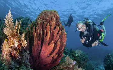 diver-roatan-best-beginner-antonio-busiello-scu.jpg.webp