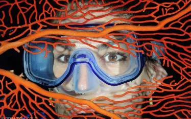 diver-sea-fan-branon-cole.jpg.webp