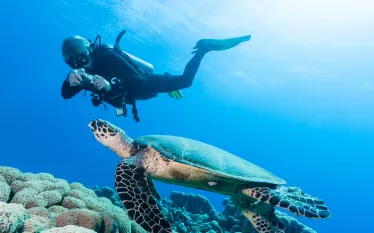 diverphotographer_shutterstock_.jpg.webp
