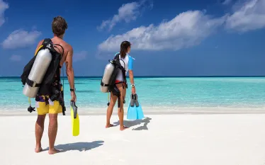 divers-on-beach-apart-shutterstock-sven-hansche-web.jpg.webp