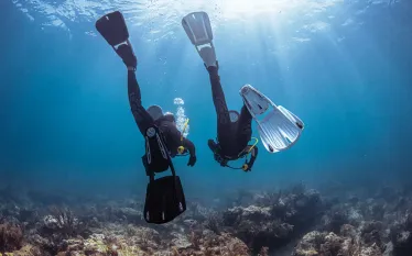 divers.fins_.scubadivingmag.march.jpg.webp