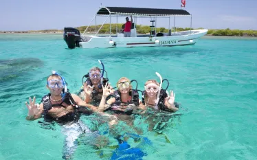 divers_several.jpg.webp
