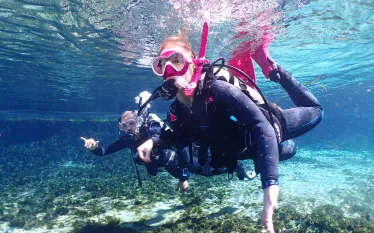 diving_alexander_springs-teaser_.png.webp