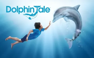 dolphin-tale.jpeg.webp