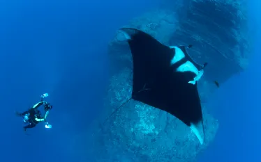 drift-diver-tips-mexico-annie-crawley_scu.jpg.webp