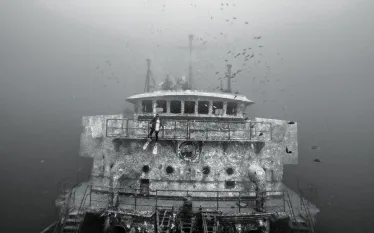 drive_and_dive_fort_lauderdale_lady_luck_wreck_kevin_hanson_scd_dd.jpg.webp
