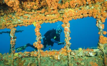 drivedive_miami_captdan_stearns.jpg.webp