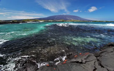 fernandinaisland_galapagos_credit_ecoventura.jpg.webp