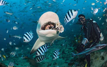 fiji-beqa-lagoon-felipe-barrio.jpg.webp