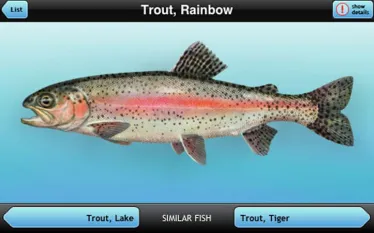 find-a-fish.jpg.webp