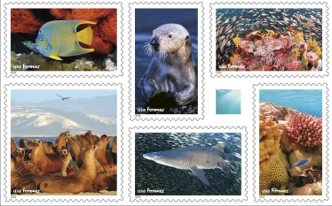 forever-stamps-marine-teaser.jpg.webp