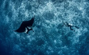 four-seasons-explorer-manta-expedition.jpg.webp