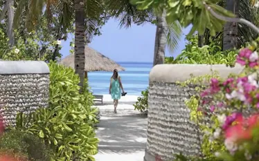 four_seasons_liveaboards_image.png.webp