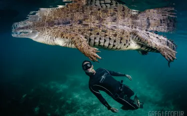 freediver-crocodile-garden-of-the-queen-cuba-underwater-photo.gif.webp