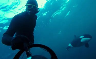 freediving_with_killer_whales_david_buendia_photography_.still.jpg.webp