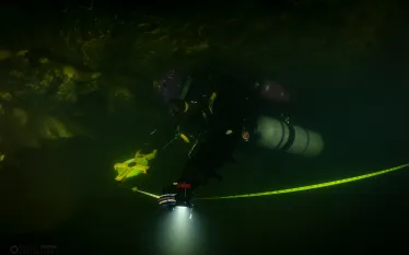 gayle-orner-cave-survey-randall-purdy-tl-bass-telepictures.png.webp