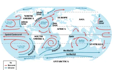 global-current-map-illustration-credit-monica-medina_.png.webp