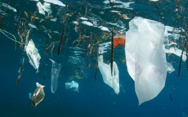 great_pacific_garbage_patch_teaser-_.png.webp