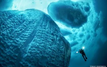 greenland_icebergs_.jpg.webp