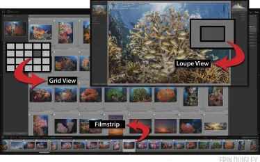 grid-loupe_composite.jpg.webp