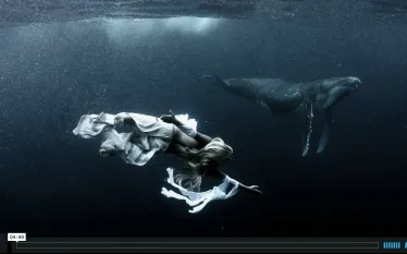 hannah-and-the-humpbacks.jpg.webp