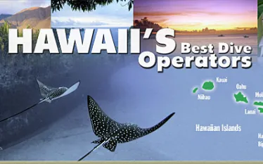 hawaii_header.jpg.webp