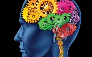 head-full-of-gears.jpg.webp